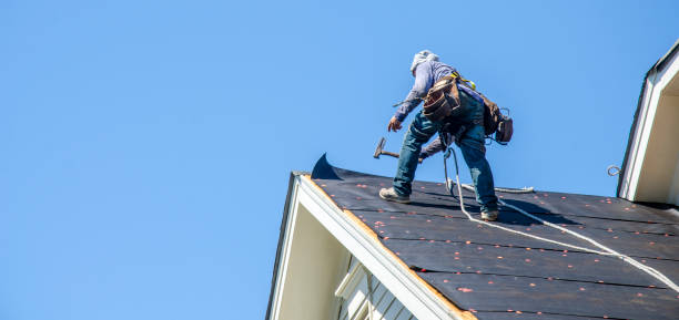 Best Roof Gutter Cleaning  in Damascus, OR